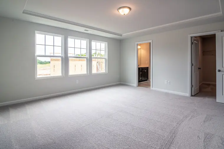 Bright carpet flooring