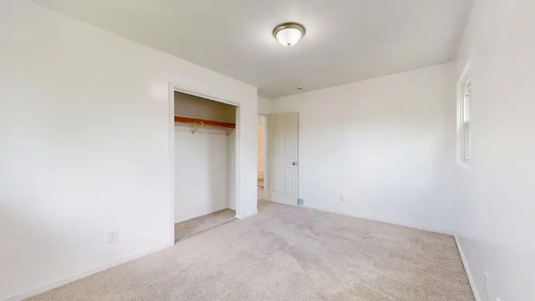 Spacious carpet flooring in a closet